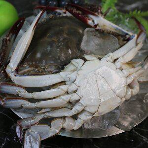 [자연맛남][벌크맛남] 선별100% 벌크 급냉 숫꽃게 총10kg 중(게장/해물찜/탕용)