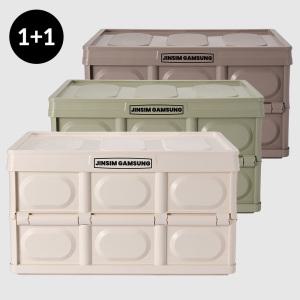 2pack 진심감성 리빙박스 폴딩박스 수납정리함 캠핑 소형