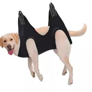 엠비아샵1 강아지 미용 거치대 강아지거치대 고양이손톱깍기