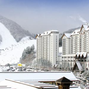 용평리조트 용평콘도 평창콘도 대관령콘도 용평스키장 용평호텔 용평워터파크 피크아일랜드