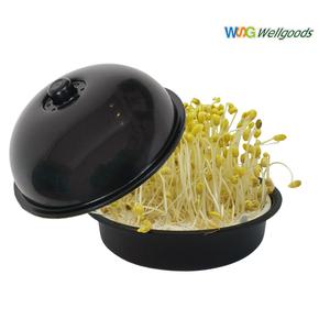 [웰굿즈] 콩나물재배기+ 국산 콩나물콩(1회분)