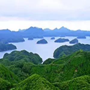 대마도 2일 #쓰시마링크호 #토요코인 #이즈하라 시내호텔 #핵심일정 #자유식 1000엔 지급 #가성비