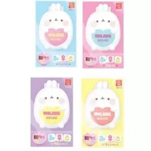 토이진 오로라월드 몰랑 팩트 키링 하우스(랜덤발송) 빠른배송