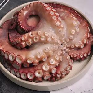 [경남통영] 돌문어 2kg (1-6미)