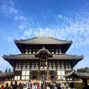 부산출발 오사카 3일 #1DAY자유일정 #시내호텔2연박 #오사카 #고베 #나라