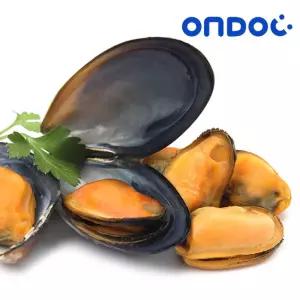 국내산 홍합살 1kg