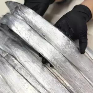 국내산 제주 생물 갈치 20마리 2.5~3.5지급 통갈치