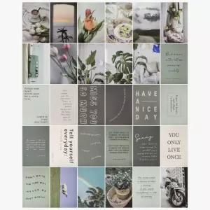 엽서 인테리어 촬영 세트 그린