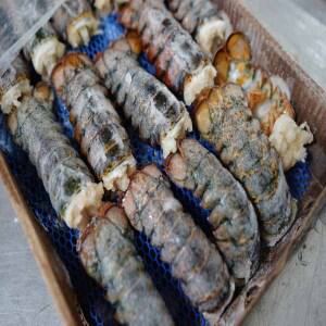 캐나다 직수입 랍스터 테일 4oz 1kg(8마리)