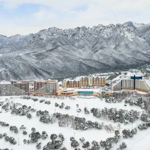 소노캄 델피노 소노호텔앤리조트 조식 오션플레이 패키지 소노문 델피노 (강원 설악) 룸온리