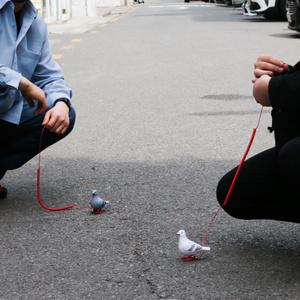 반려 비둘기 세트 애완 인형 [움직이는 쓸데없는 쓸모없는 웃긴 선물 장난감 킹받는 친구 필요없는 태엽]