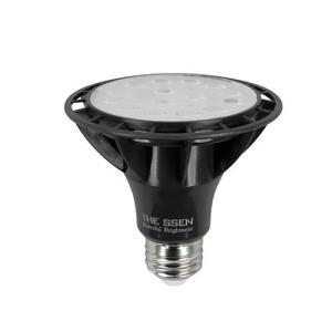 DS 더뷰 파30 램프 LED 15W PAR30 집중형 조명