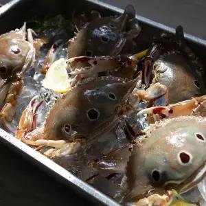 A급 삼점게 알배기 3kg 60/80 80/100 100/150 150/200 간장게장 암게/숫게