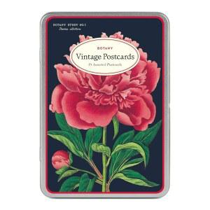 카발리니 & Co. 식물성 빈티지 엽서 세트