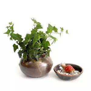 이조전통옹기 수경식물세트 단지SET 플렌테리어다육이 이화분 미니 도기 수공예 주물럭 못난이