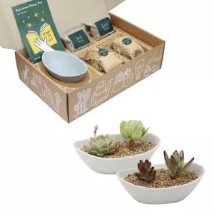 그레이 다육식물 화분 흙 패키지 세트인테리어 거실 실내 미니