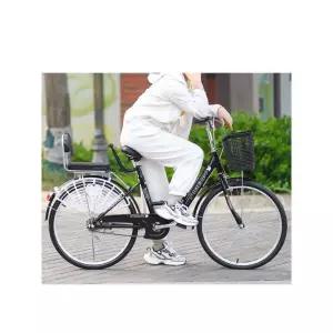 2인자전거 등교 등원 가족 클래식 바구니 여성 자전거