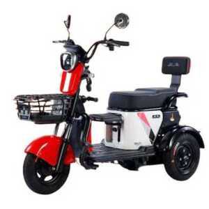삼륜 전기 자전거 전동 바이크 스쿠터 3륜 세발 2인승