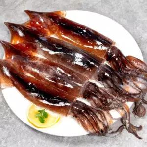 국내산 총알 통찜 오징어 1kg 급냉 초코오징어