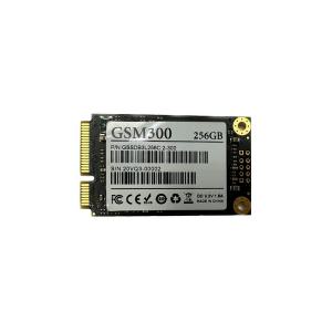 젬스톤 GSTON GSM300 mSATA (256GB)