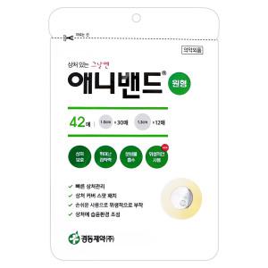 경동제약 애니밴드 원형 스팟패치 42매