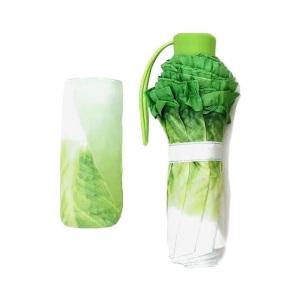 웃긴우산 배추 우산 적양배추 상추 모양 특이한