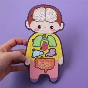 아이디몬 우드 DIY 우리몸 (KYR-WCC2D18)