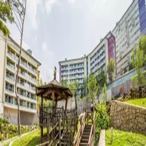 [강원] 하이원리조트 힐콘도(강원호텔/정선호텔/정선하이원리조트 힐콘도)