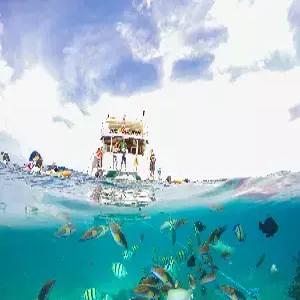 세부 자유여행 5일 #왕복항공권 #여행자보험 #호텔불포함