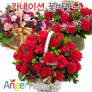 [전국당일꽃배달]풍성한 카네이션 꽃바구니/생화/감사/사랑/존경/싱싱한생화사용