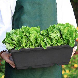 [제이큐]베란다 텃밭 화분-받침대세트 채소 상추 대파키우기