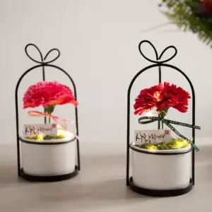 카네이션 조화 화분 LED 마더set 19cm 2컬러 꽃 어버이날 스승의날 테이블 장식 감사 선물 행사 소품