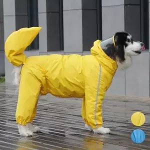 우의 바람막이 외출 대형견 8XL 산책 판초 레인코트 우비 애견비옷