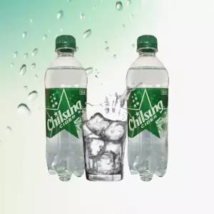 칠성사이다 500ml x 20pet 탄산음료 업소용 캔음료