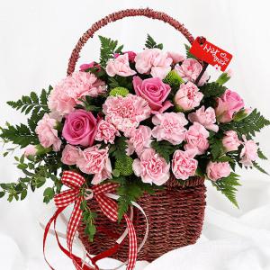 당일 꽃배달 5월의꽃 카네이션 꽃바구니 어버이날 A1504