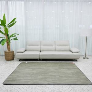 카보니 거실형 모노륨 카페트 탄소매트 대형 특대형