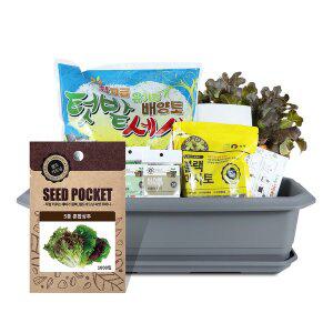 [화분월드]월드가드닝 집에서길러먹는채소-5종혼합상추텃밭세트9종