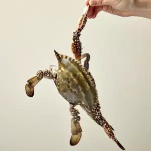 국내산 연평도 급냉 알배기 암꽃게 중 1KG