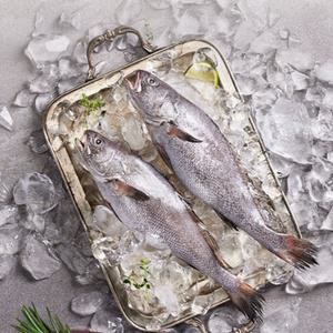 [우리참바다] 국내산 반건조 대왕특대 민어 1kg×2마리