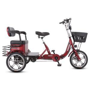 전기 자전거 충전식 삼륜 장보기 어르신 출퇴근 노인 소형 인력발