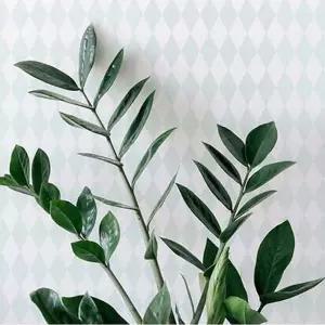 풀바른 벽지 조각 만능 붙이는 풀먹인 다이아몬드