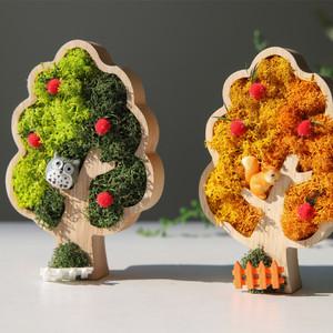 스칸디아모스 사과 나무 액자 만들기 공기정화식물