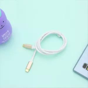 매일잇템 글로벌S USB 3.1 Type C 케이블 90cm C타입 to C타입 고속충