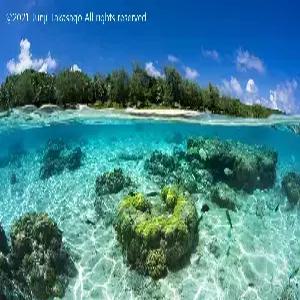 [부산출발] 사이판 5일 #월드리조트 #최대워터파크 #슈페리어 #골드카드 #자유여행 #레이트체크아웃