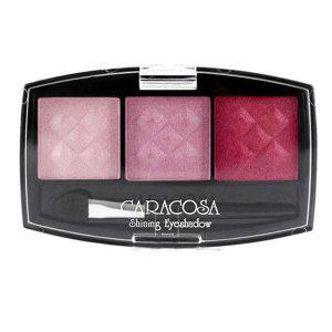 3가지 컬러 자연스러운 트리플 아이섀도 키트 301호