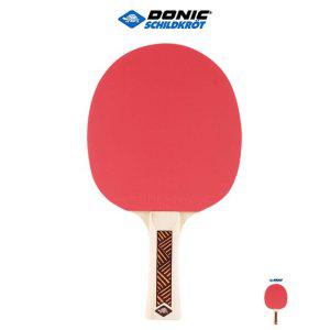 탁구채 펜홀더라켓 카본 입문용 어린이 수리 무게 탁구라켓 CHAMPS LINE 300