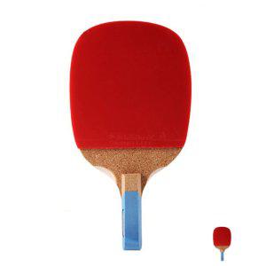 탁구채 카본 입문용 어린이 수리 핑퐁펜홀더 탁구라켓 ASIAN 800