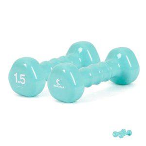 아령거치대 근력운동기구 아령 PVC 삼각 1.5kg 1개 네오민트 헬스용품 레이닝