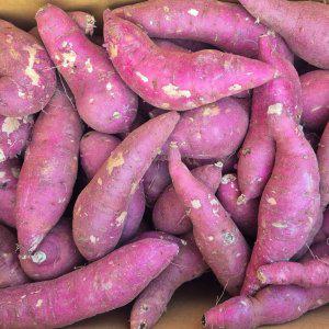 꿀밤고구마 5kg 한입