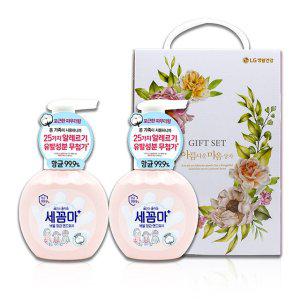 세균아 꼼짝마 핸드워시 파우더향 250ml 2입_(5개입)